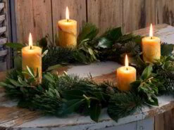 4er-Set Adventkranzkerzen Aus Bienenwachs, Stumpen, ø 5 Cm -Grüne Erde 48446 adventkranzkerzen stumpen emo