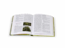 Buch: Gemmotherapie - Knospen In Der Naturheilkunde, 267 Seiten -Grüne Erde 49500 gemmotherapie buch frei