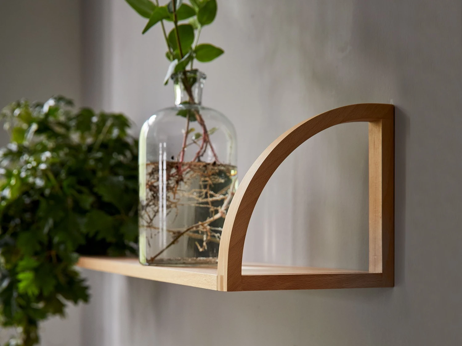 Board Vela, 2 Niedrige Bügel, Set Links Und Rechts, Buche 5 Board Vela, 2 Niedrige Bügel, Set Links Und Rechts, Buche – Bild 3