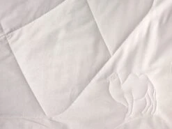 Grüne Erde -Grüne Erde 73965 72685 72705 74585 kamel detail 3