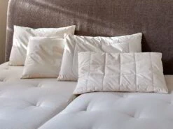 Schlafkissen Mit Feiner Schafschurwolle, 40 X 60 Cm, GOTS, NATURTEXTIL BEST 10 Schlafkissen Mit Feiner Schafschurwolle, 40 X 60 Cm, GOTS, NATURTEXTIL BEST -Grüne Erde 77990 74730 78080 74600 schlafkissen emo