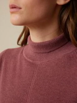 Pullover Aus Bio-Baumwolle, 75 Himbeere, S, GOTS -Grüne Erde 859146 75 856719 36 hw23 022 detail 01